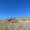Austin Bane - @austin.bane5 - TikTok