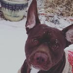 Austin barrows - @mechanic129735 - Instagram