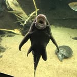 Austin Barrows - @spbarrows - Instagram