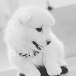 Austin_Barry - @austin_barry9 - Instagram