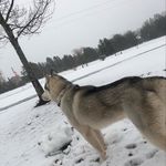 Austin Bartlett - @austin132004 - Instagram