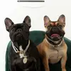 Austin Barton - @luluandcocothefrenchies - TikTok