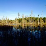 Austin Barwick - @salkehatchie_cowboyz - Instagram
