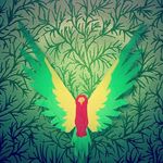 austin - @austinbasham9 - Instagram