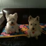 Austin Basham - @abasham123456 - Instagram