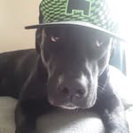 Austin EllmoreIkeda - @austin123jk - Instagram