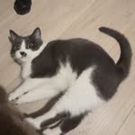 Austin Bishop - @austinbishop._ - Instagram