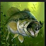 Austin Blom - @bass_fishing789 - Instagram