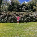 Austin Blomquist - @austinblomquist_ - Instagram