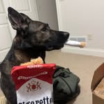 Austin Bowman - @bowclimbsice - Instagram
