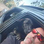 Austin Bowman - @austinbowman77 - Instagram