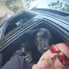 Austin Bowman - @austin.bowman20 - TikTok