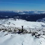 Austin Braddock - @austin_braddock - Instagram