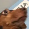 austinsbradley.826 - @austin.bradley826 - TikTok