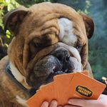 Austin Bundy - @austin_bundy907 - Instagram