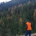 Austin Burnside - @burnsideaustin - Instagram
