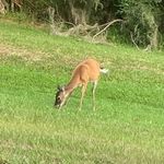 Austin Burrow - @austin.burrow.31149 - Instagram
