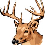 Austin Burrow - @austin20062017 - Instagram