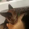 Austin Burt - @austin.burt5 - TikTok