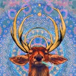 Austin Burwell - @theeducatedstoner_420 - Instagram