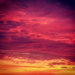 austin busch - @loserfrute - Instagram
