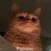 Austin Buss - @austin.buss8 - TikTok