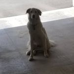 Austin Byron - @austinbyron52 - Instagram