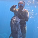 Austin cabral - @austin_hawaii - Instagram