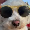 austincabral2008 - @austinreactss - TikTok