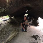 Austin Caldera - @austincaldera_ - Instagram