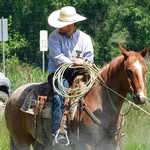 Austin Calhoun - @austin_calhoun_ranch - Instagram