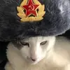 Austin Calhoun - @soviet_seeker - TikTok