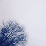 Austin - @austin_canadain - Instagram