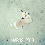 rich dreamz4 - @canada_austin - Instagram