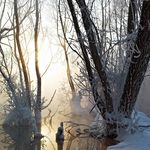 Canavan - @canavanaustin - Instagram
