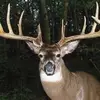 Austin Cantrell - @austin.cantrell92 - TikTok