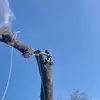 Austin Carpenter - @austincarpenter30 - TikTok