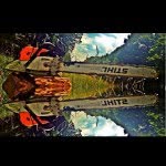 @austincardwell11 - Instagram
