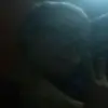 Austin McCarty - @austinmccarty2008 - TikTok