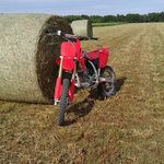 Austin chamberlain - @austin_chamberlain5 - Instagram