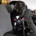 Austin Chamberlain - @z3r02k24 - Instagram