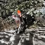 Austin Chamberlain - Facebook