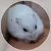Austin Chen - Facebook