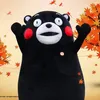 Austin Chow - @austin.chow5 - TikTok