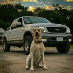 Austin Clements - @austin5.4 - Instagram