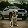 𝒜𝓊𝓈𝓉𝒾𝓃 𝒞𝓁𝑒𝓂𝑒𝓃𝓉𝓈 - @austin5.4 - TikTok