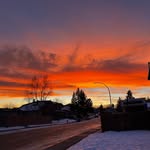 Austin Collins - @austincollins2008 - Instagram