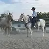 Austin Colson - @cowboycolson006 - TikTok