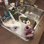 Austin Comstock - @the_unicorn_fool99 - Instagram