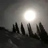 austincomstock801 - @austincomstock801 - TikTok